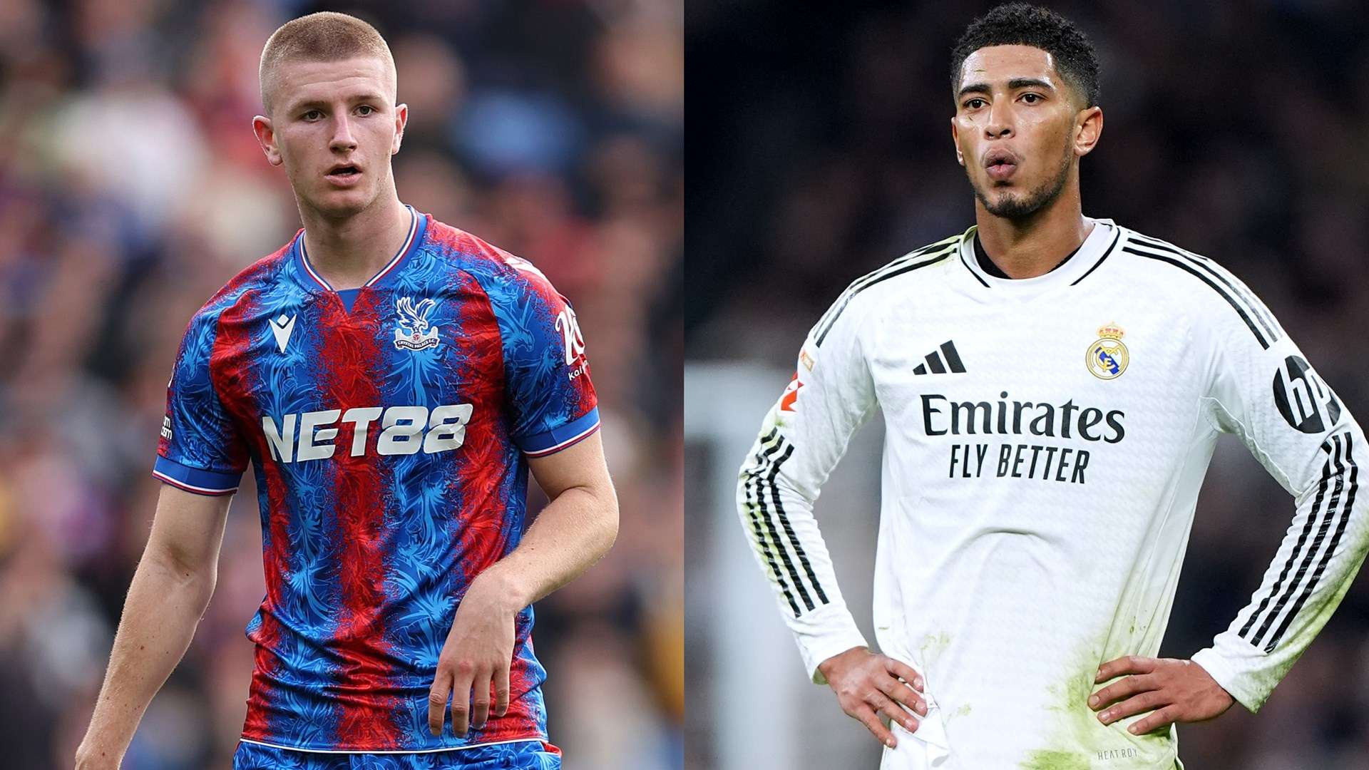 僅展現了武 僅展現了武