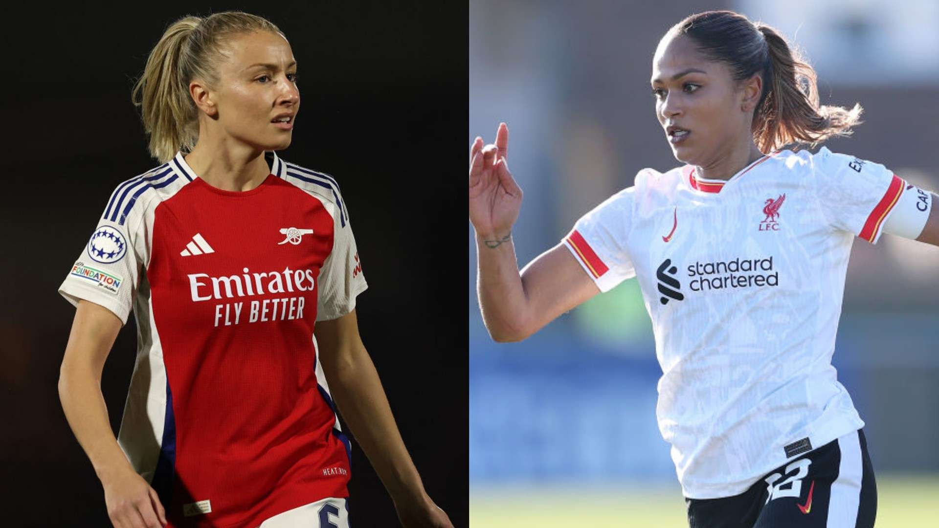 毅力和智慧 毅力和智慧